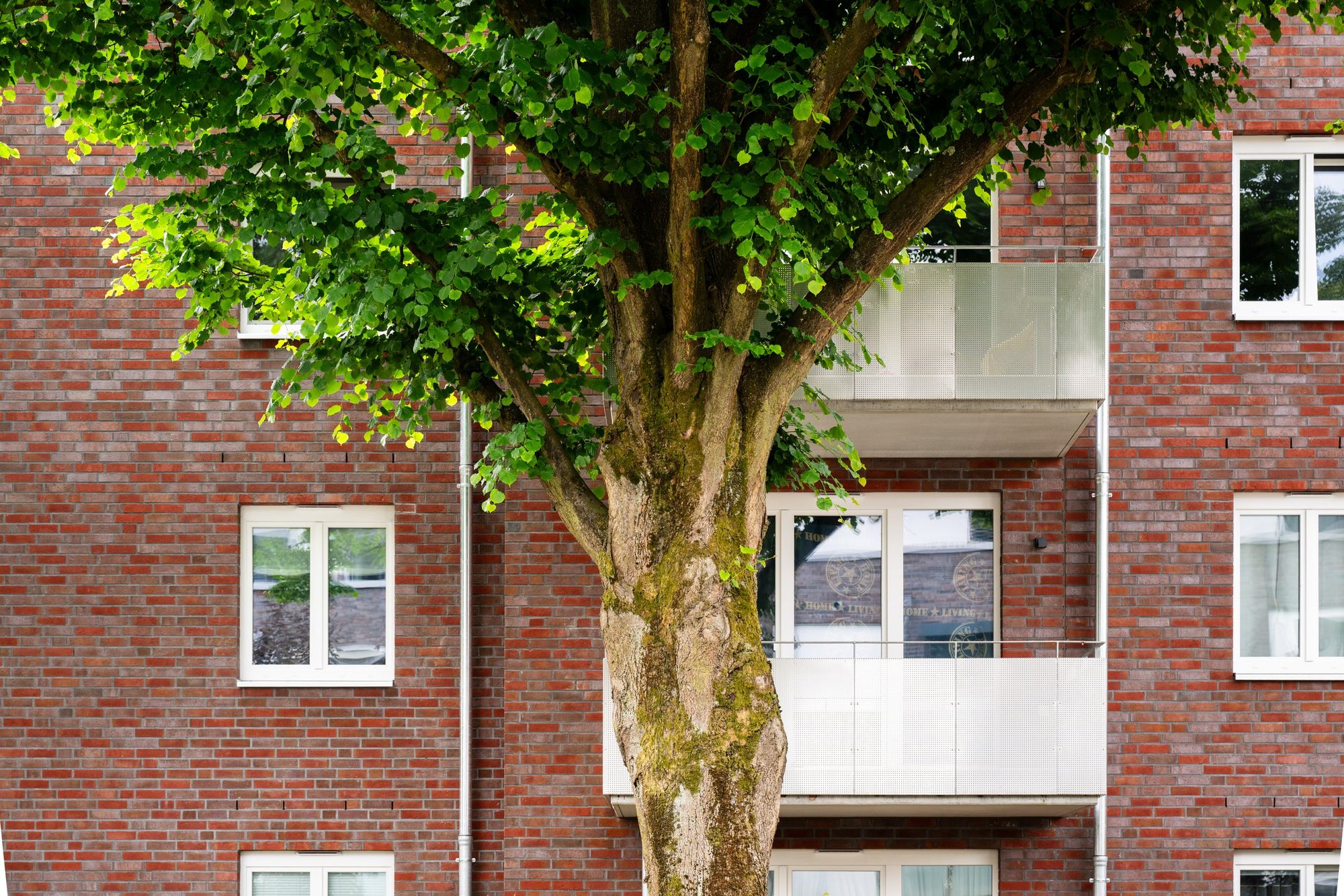 Kreuzweg, Schenefeld — Ansicht 4